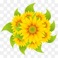 手绘卡通黄色小菊花