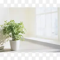 白色窗台绿色花盆海报背景