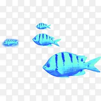 夏日蓝色动物海底鱼