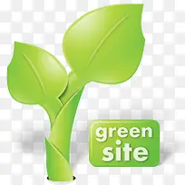 绿色叶自然有机植物绿色包装