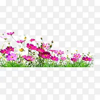 清新花卉美丽家园