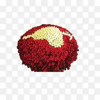 玫瑰