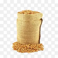 袋子里小麦粒