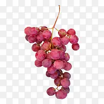 水果葡萄素材