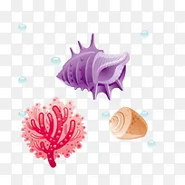 珊瑚贝壳海螺
