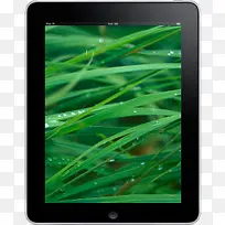 iPad面前草背景图标