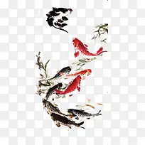 水彩画红鲤