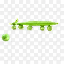 绿色有机豌豆