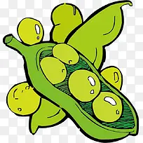 豌豆