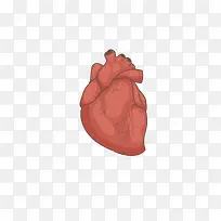 复古手绘心脏血管矢量图