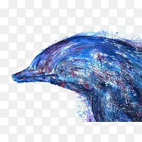 创意彩绘海豚