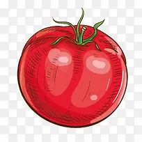 卡通美食装饰插画设计番茄