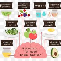 大脑营养补充食物信息图