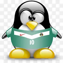 Mexico 墨西哥企鹅