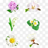 各种花卉花朵矢量图
