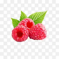 树莓水果覆盆子