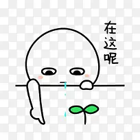手指的指向
