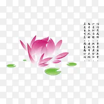 荷花图片