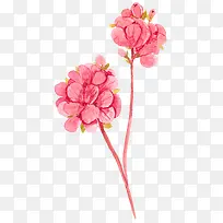 粉红色花朵手绘插画