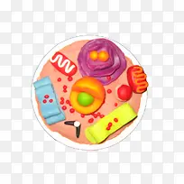 生物学细胞平面图模型