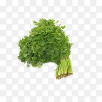 香菜