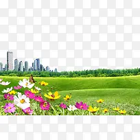 野花草地地平面