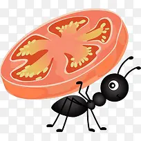 背着水果片的蚂蚁