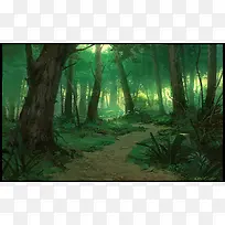 绿色神秘森林迷雾