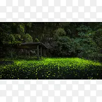 神秘绿色森林里的小屋