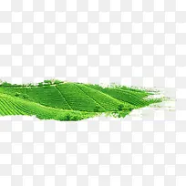 水墨风绿色茶田