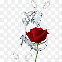 情人节玫瑰花装饰图案