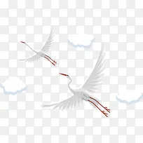 展翅翱翔的美丽白鹤