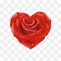 红色心形玫瑰花