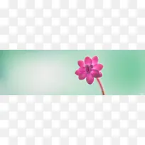 教育网站banner创意设计