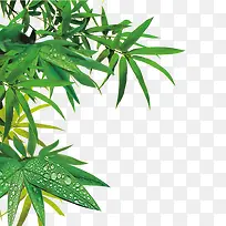植物 边角装饰