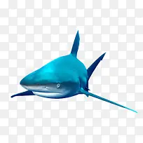 水墨鲨鱼