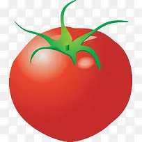 诱惑人的番茄