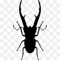 昆虫chalcosoma甲虫形状图标