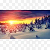 阳光天空雪地树林