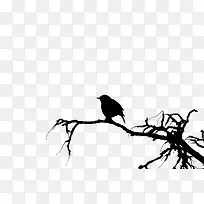 小鸟与枯枝