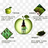 苹果干细胞抗皱精华