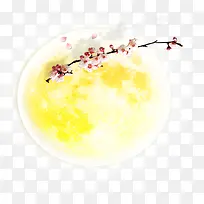 月亮上的桃花