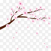 粉色美丽春节桃花