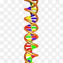 彩色立体DNA双螺旋基因链