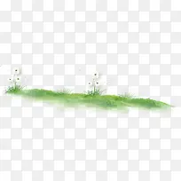 草坪上的蒲公英