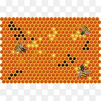 蜜蜂与蜂巢矢量图