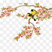 梅花
