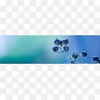 高清炫彩花卉banner背景