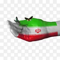 伊朗国旗手绘蝴蝶图案