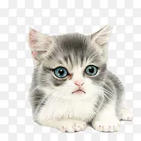 猫咪水彩画素材图片